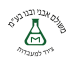 avni-son-logo